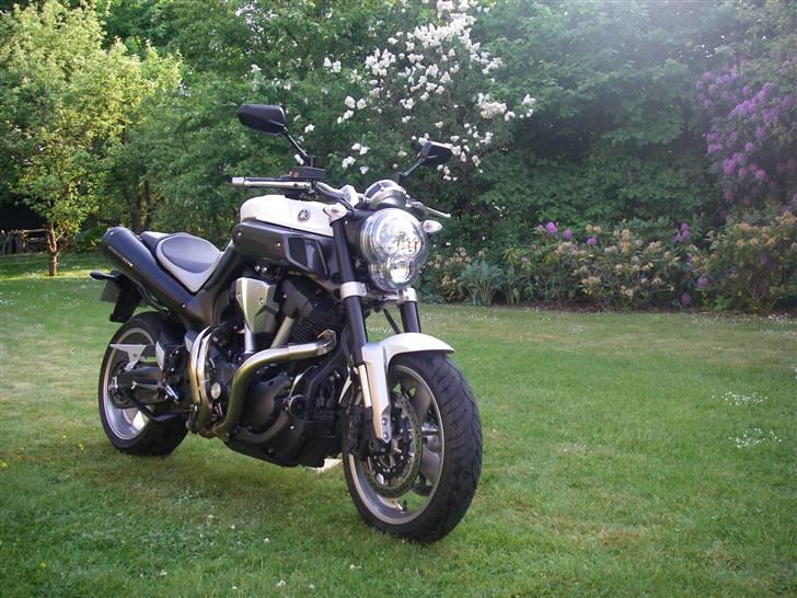 Yamaha MT-01 - Den smukkeste blomst i haven! billede 12