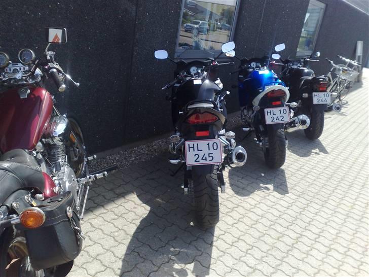 Suzuki gsx 650f solgt - læg mærke til forskellen på udgangene på potterne.hehe billede 3