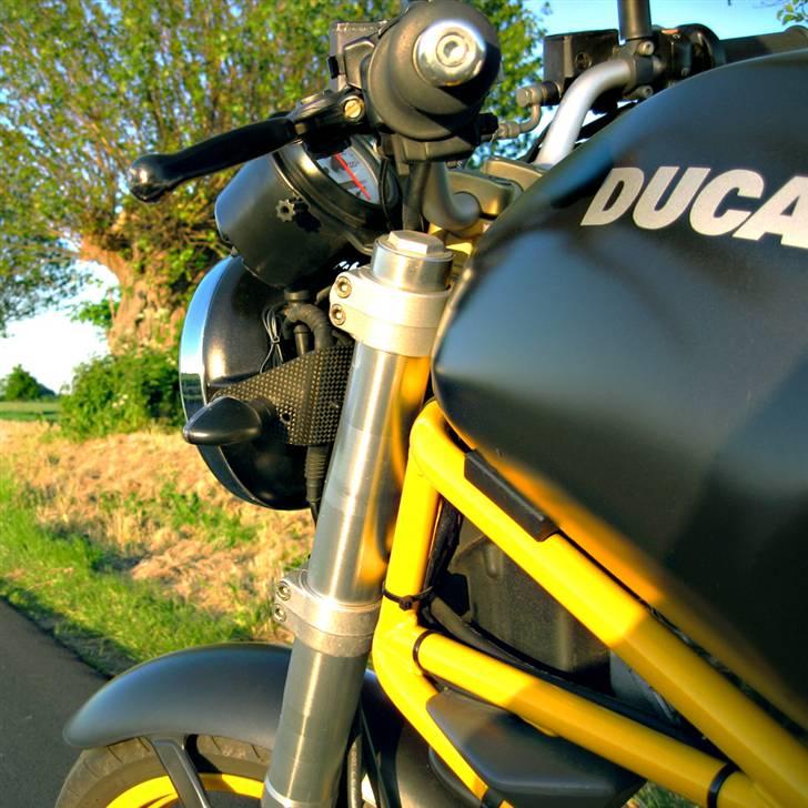 Ducati Monster 600 billede 2