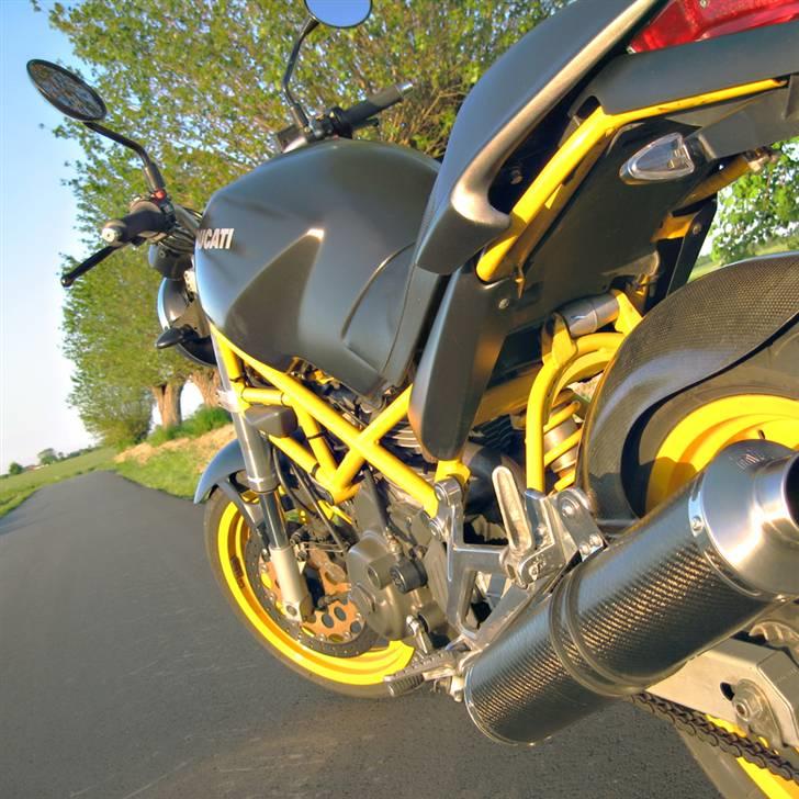 Ducati Monster 600 billede 3