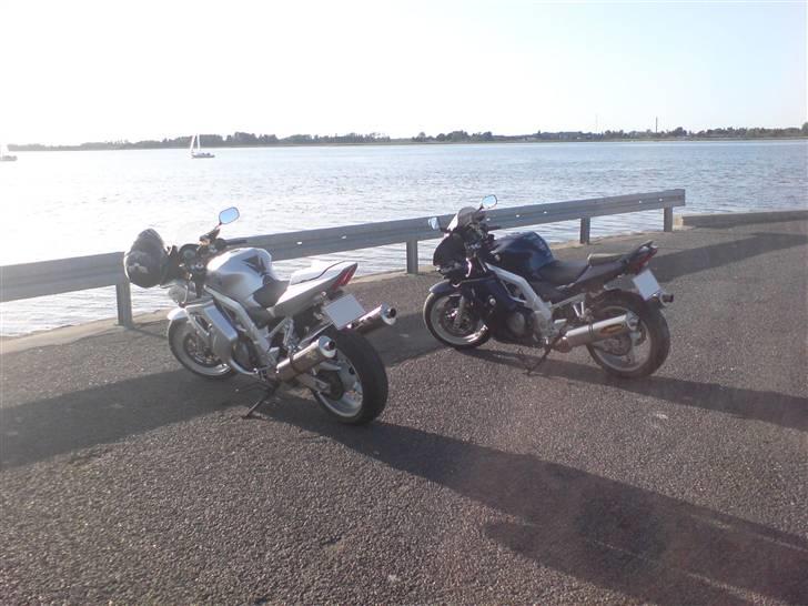 Suzuki SV 1000 S (Solgt) billede 4