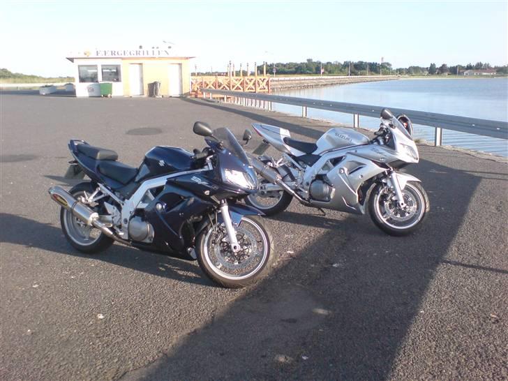 Suzuki SV 1000 S (Solgt) billede 5