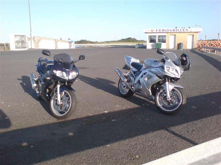 Suzuki SV 1000 S (Solgt) billede 7