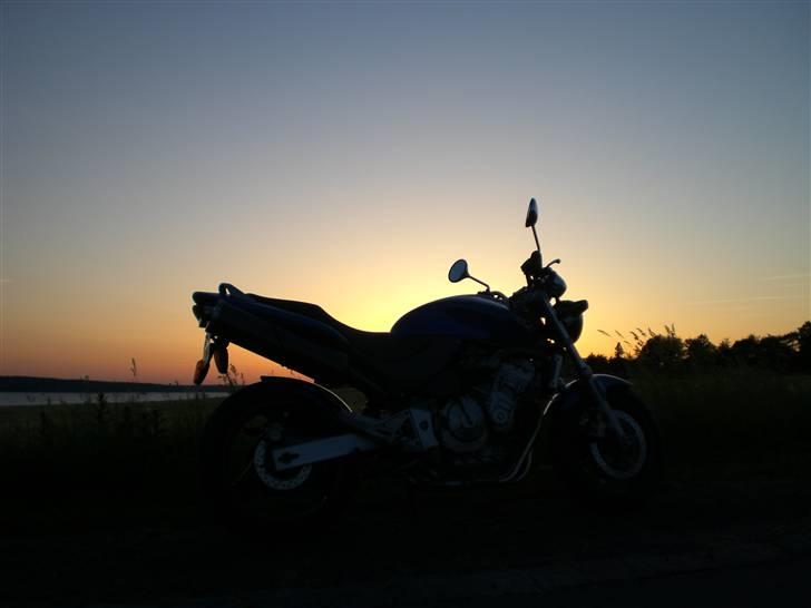 Honda cb 600 f hornet - juni 08 billede 8