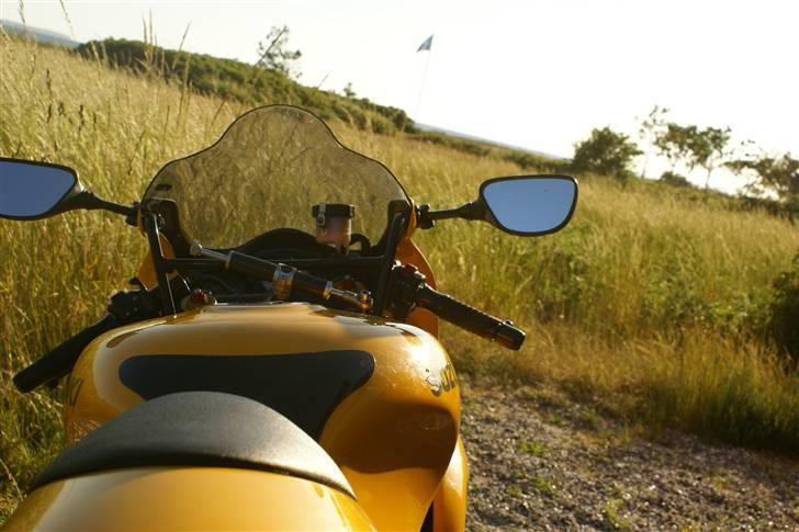 Suzuki TL 1000-S "SOLGT" billede 3