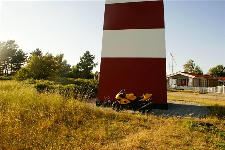 Suzuki TL 1000-S "SOLGT" billede 4