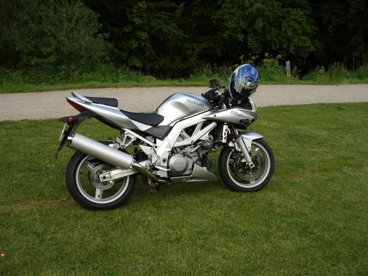 Suzuki sv 1000 billede 2