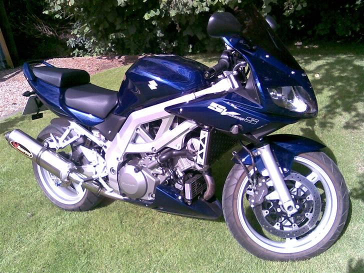 Suzuki SV 1000 S billede 1