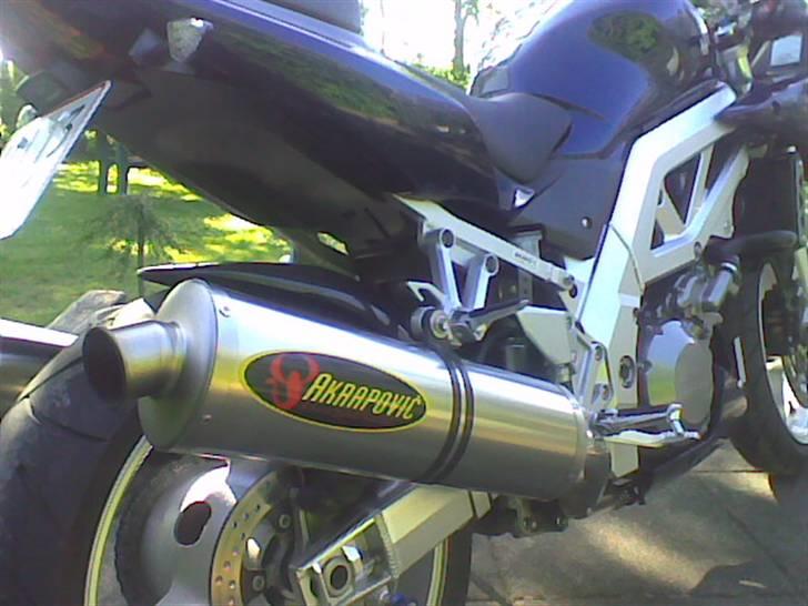 Suzuki SV 1000 S billede 2