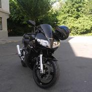 Suzuki SV 1000