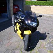Kawasaki ZX9R