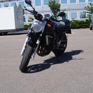 Yamaha FZ6