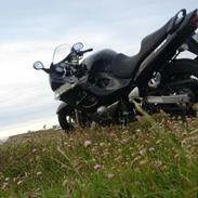 Suzuki GSX750F