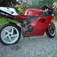 Ducati 996 MonoPosto