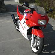 Honda CBR 600 F2