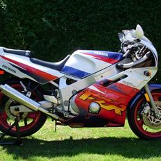 Yamaha FZR 600 (SOLGT)