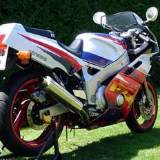 Yamaha FZR 600 (SOLGT)