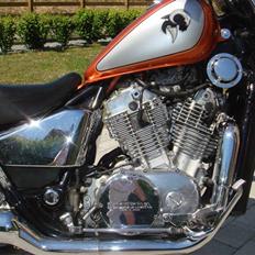Honda VT 700 C Shadow