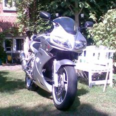 Suzuki SV1000