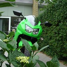 Kawasaki Ninja 250R (Solgt)
