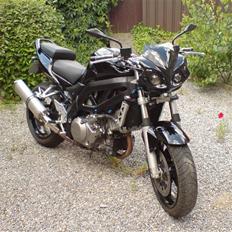 Suzuki sv 1000 n