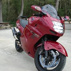 Honda cbr 1100 xx blackbird