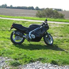 Honda CBR600F PC23 SOLGT