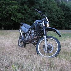 Honda Transalp 600v "Solgt"