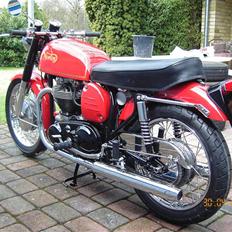 Norton 99