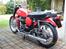 Norton 99