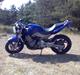 Honda CB 600 Hornet **SOLGT**