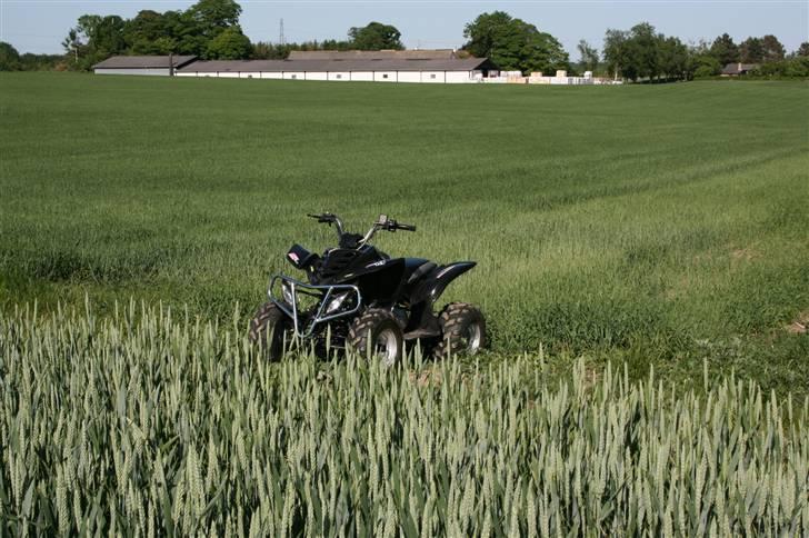 Universal 200cc Solgt . billede 15