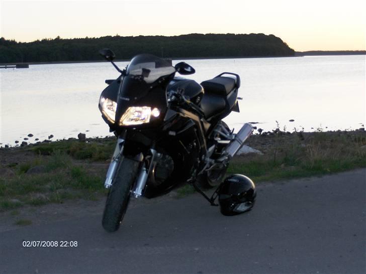 Suzuki SV 1000 billede 4