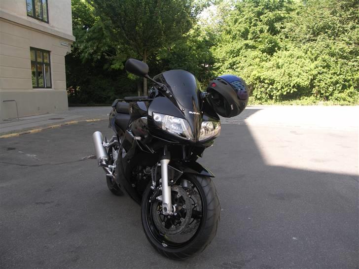 Suzuki SV 1000 billede 5