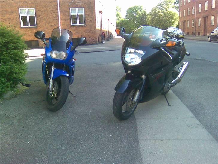 Honda CBR 1100 XX Blackbird - Lige et af dem begge to...  billede 15