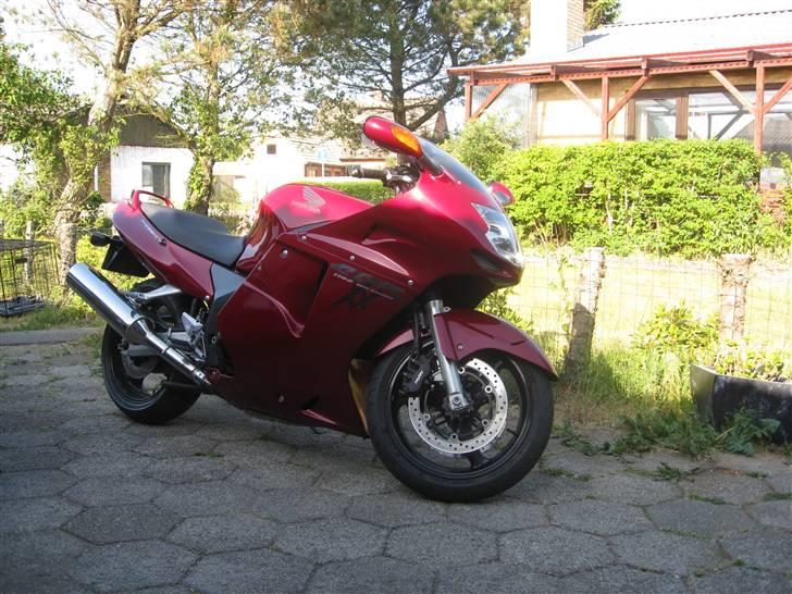 Honda Blackbird billede 1