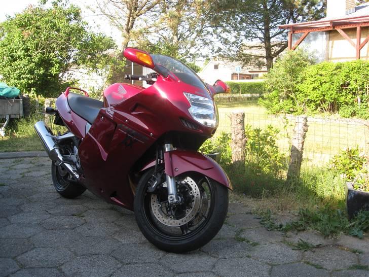 Honda Blackbird billede 2