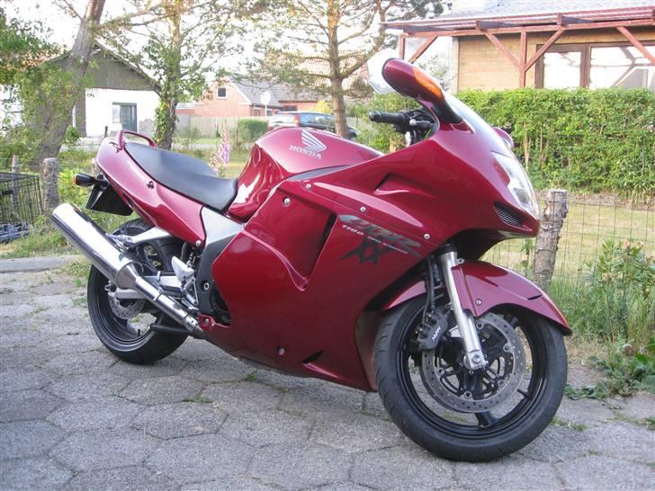 Honda Blackbird billede 3