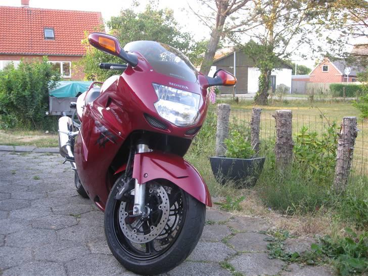 Honda Blackbird billede 4