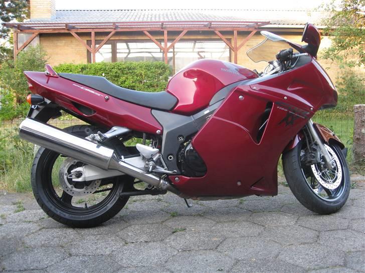 Honda Blackbird billede 6