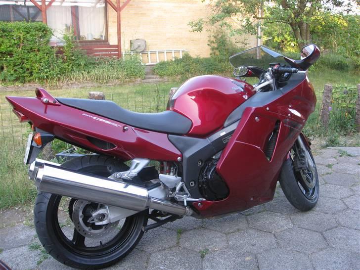 Honda Blackbird billede 7