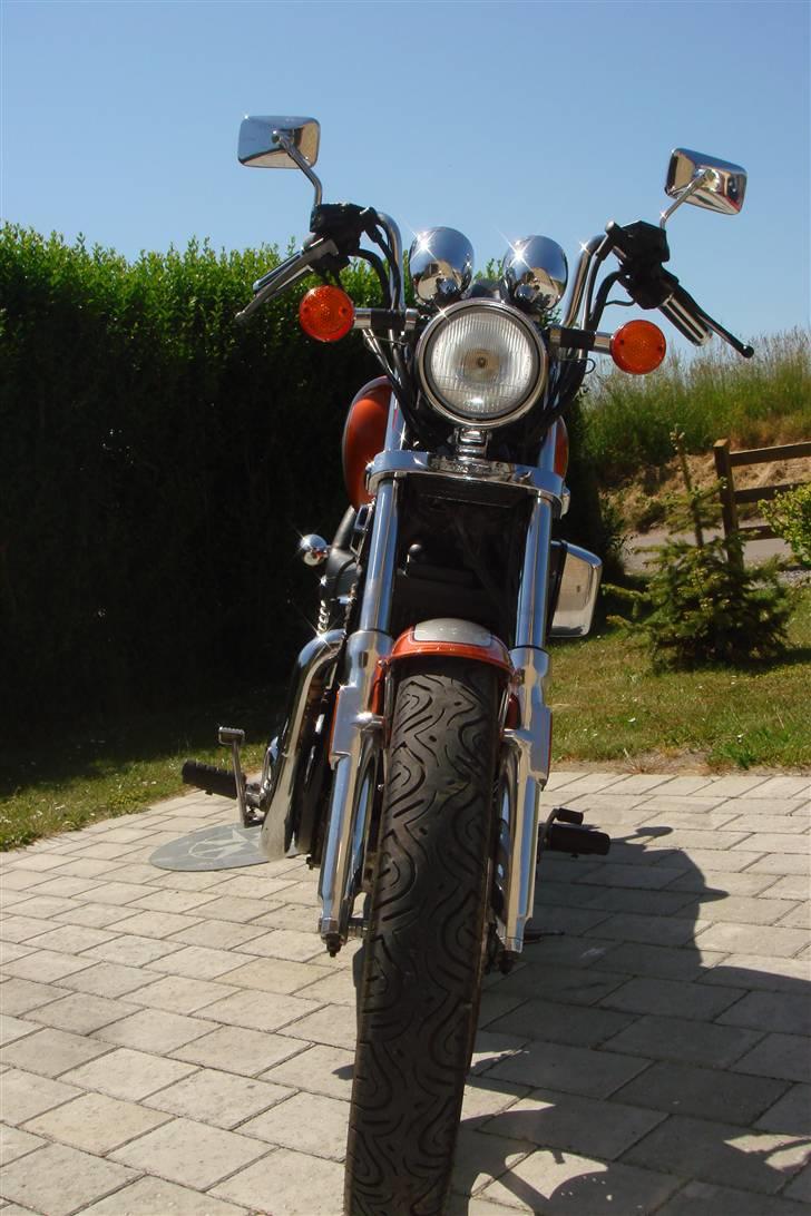 Honda VT 700 C Shadow  billede 16