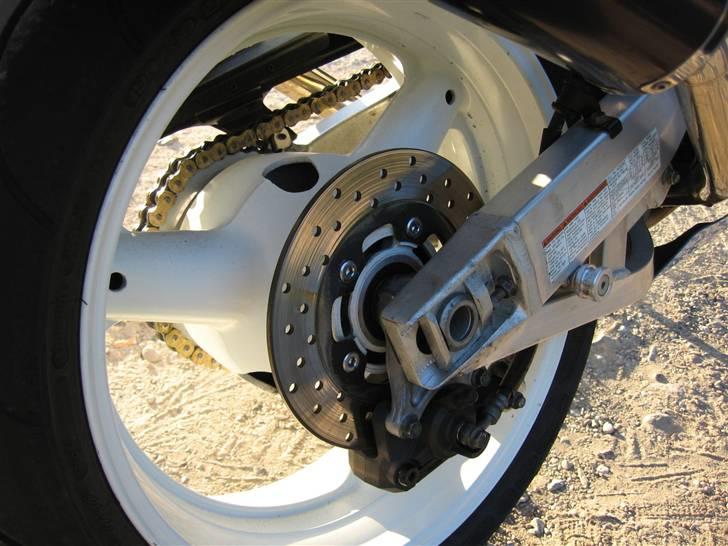 Suzuki TL1000R billede 13