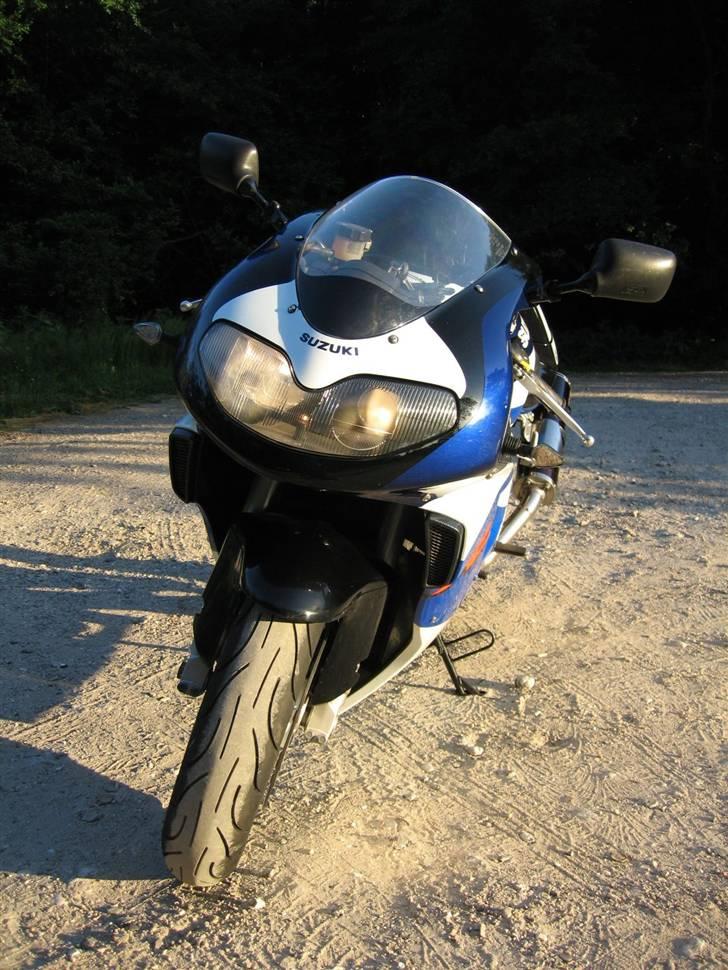 Suzuki TL1000R billede 17