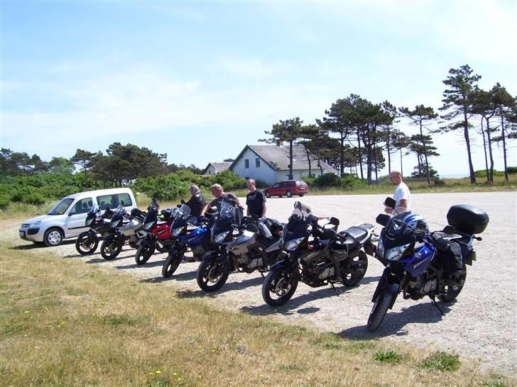 Suzuki DL 650 V-Strom - V-Strom træf billede 15