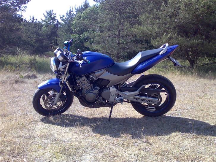 Honda CB 600 Hornet **SOLGT** billede 1