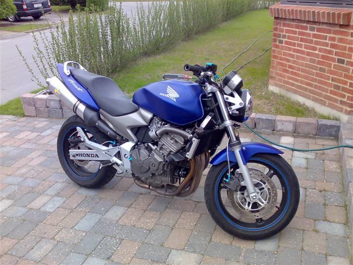 Honda CB 600 Hornet **SOLGT** billede 3