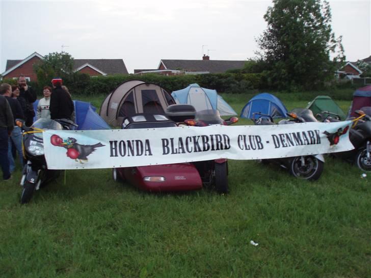 Honda cbr 1100 xx blackbird - til blackbird træf i england maj 2008. 10 personer og 7 cykler. fed tur. billede 12