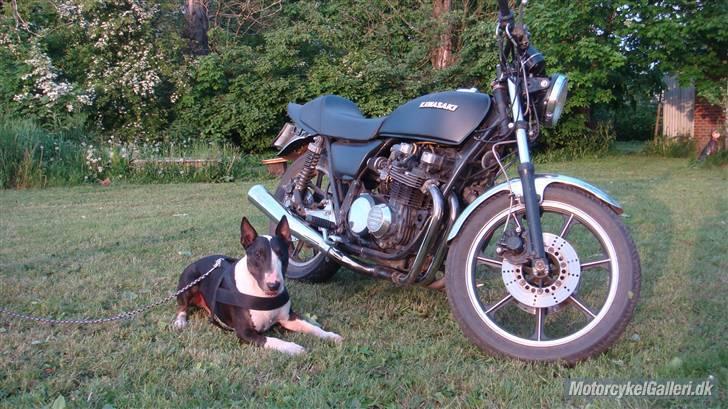 Kawasaki Kawasaki z650/750 billede 22