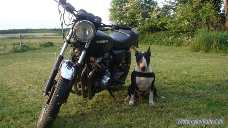 Kawasaki Kawasaki z650/750 billede 28